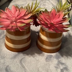 2 faux succulents plants in brown and cream ceramic vases NWT